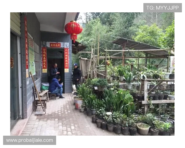 七星网站app优化升级带来的新功能介绍与体验分享