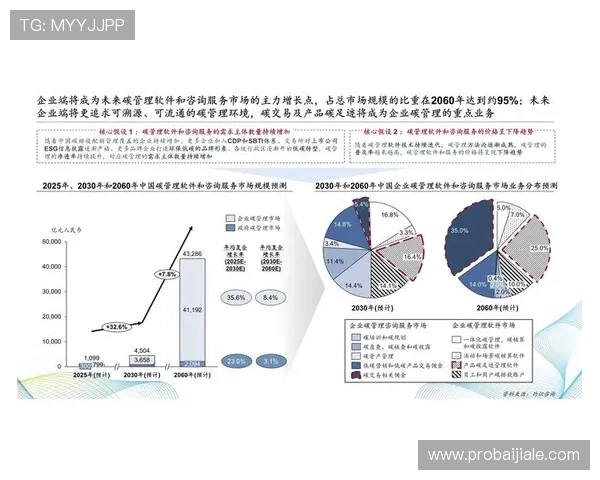 DB真人旗舰集团在行业中的领先地位与未来发展趋势分析，助你把握行业先机