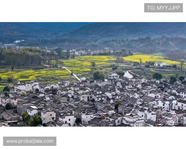 云顶集团app下载官网官方平台,确保每一次下载都安全可靠,享受优质游戏体验 云顶集团app下载官网官方平台,确保每一次下载都安全可靠,享受优质游戏体验