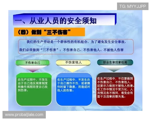 爱游戏网页版登陆安全保障措施全面解析确保玩家账号信息安全无忧
