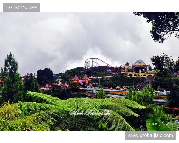 马来西亚云顶攻略：新手必看入门技巧与风险控制策略