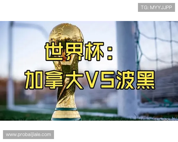 世界杯加拿大对阵波黑比赛赛后比分及球员表现总结与未来展望分析