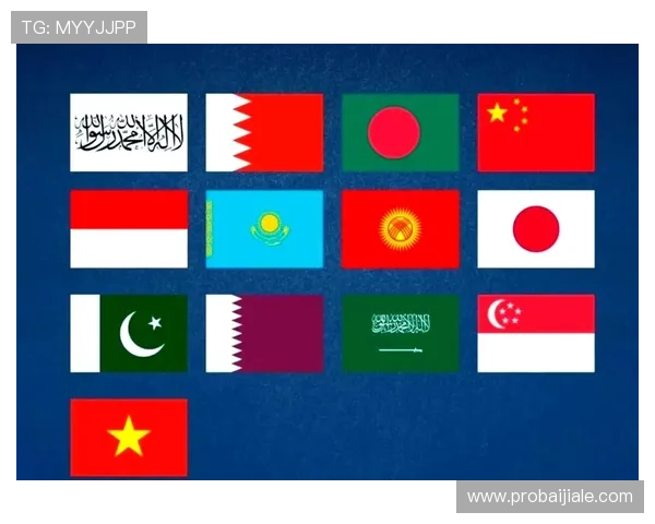 世界杯海地与苏格兰比赛中国旗设计与文化象征的深度解析